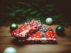 Christbaumversteigerung der Wildschützen Leonhardspfunzen present-932219_1920